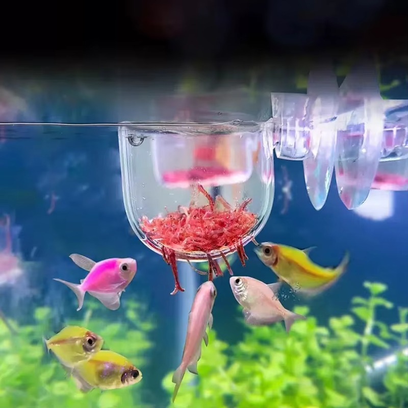 Aquarium Plant Factory - 工場水族館装飾 吊り下げ式水槽 ミニクリスタルアクリルガラス 水耕栽培シリンダーカップ 給餌アクセサリー