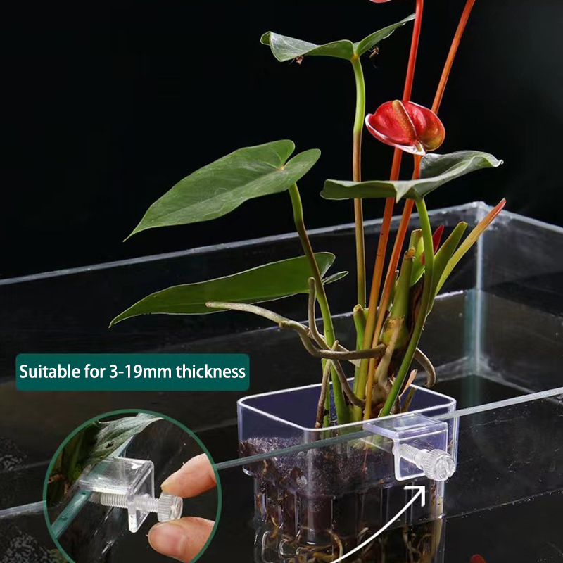 Planted Aquarium With Fish - 多機能フィッシュ水族館、水草植栽カップ、魚の分離ボックス、水耕植物、造園