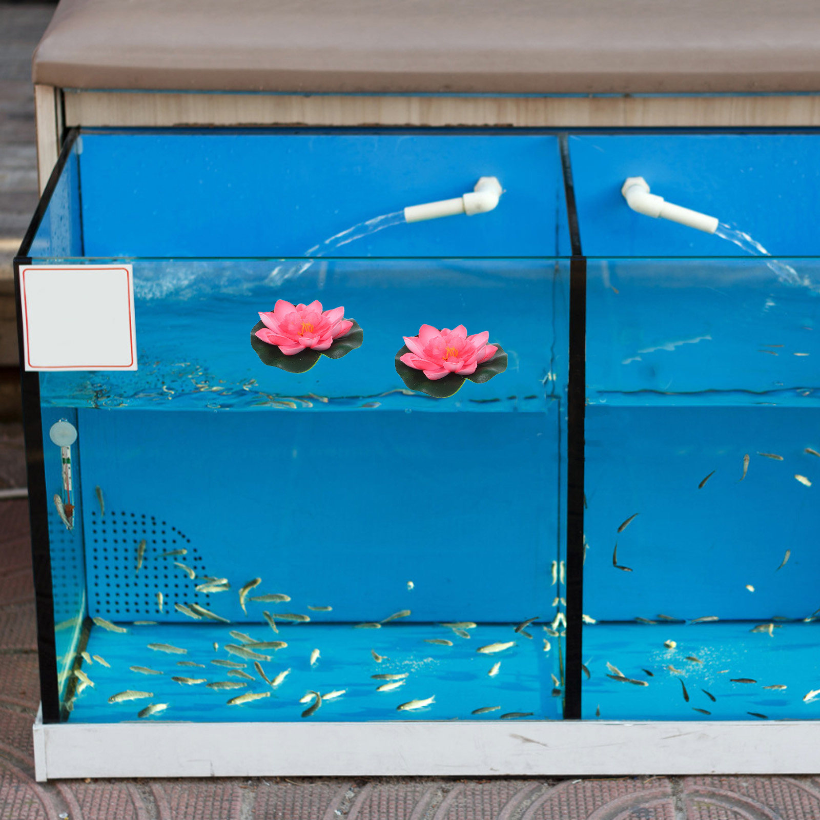 12個入り人工フローティングウォーターリリー（蓮の花）池、プ - Aquarium Planting のレビューと価格