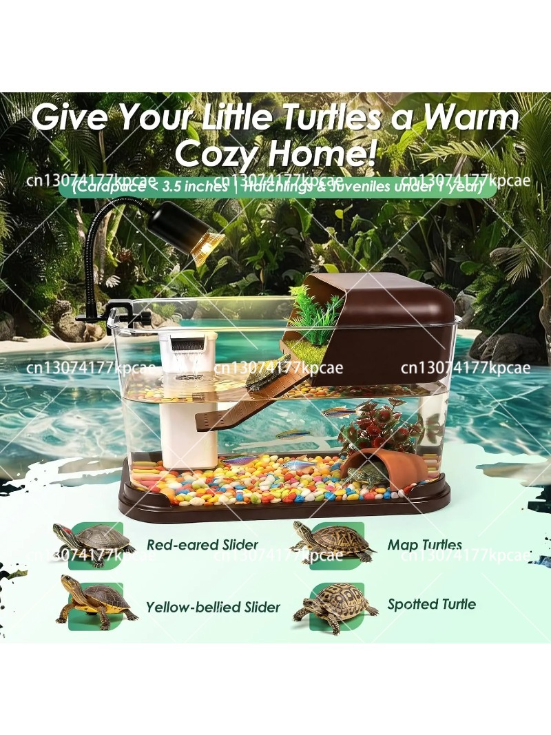 PCタートルタンク水槽スターターキット（日光浴プラットフォー - Planted Aquarium Starter Kit のレビューと価格
