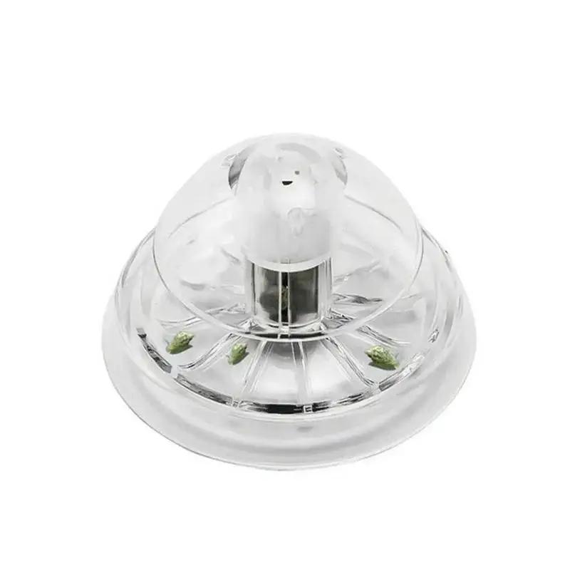 2026年新発売 6/8CM 透明プラスチック製カタツムリ捕 - Planted Aquarium With Fish のレビューと価格