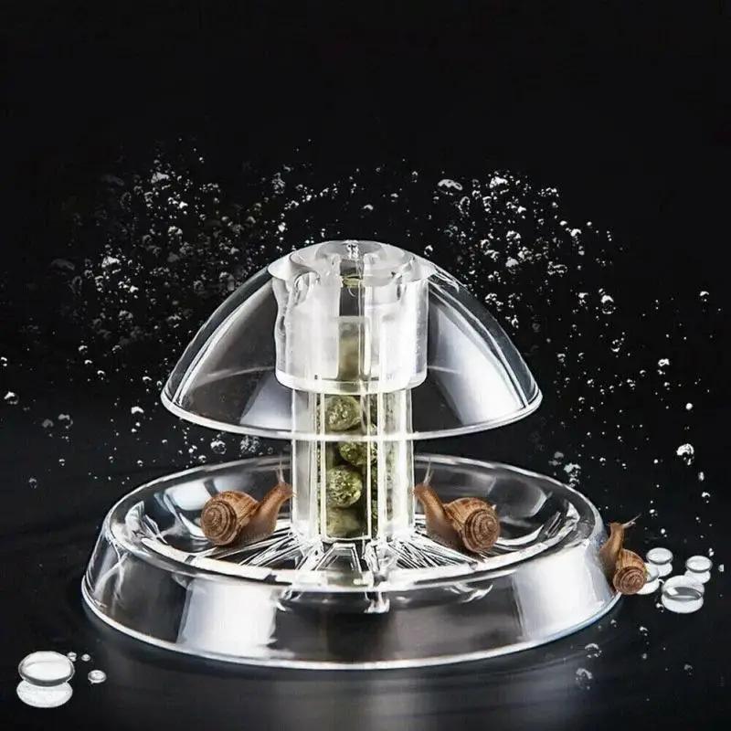 2026年新発売 6/8CM 透明プラスチック製カタツムリ捕 - Planted Aquarium With Fish のレビューと価格