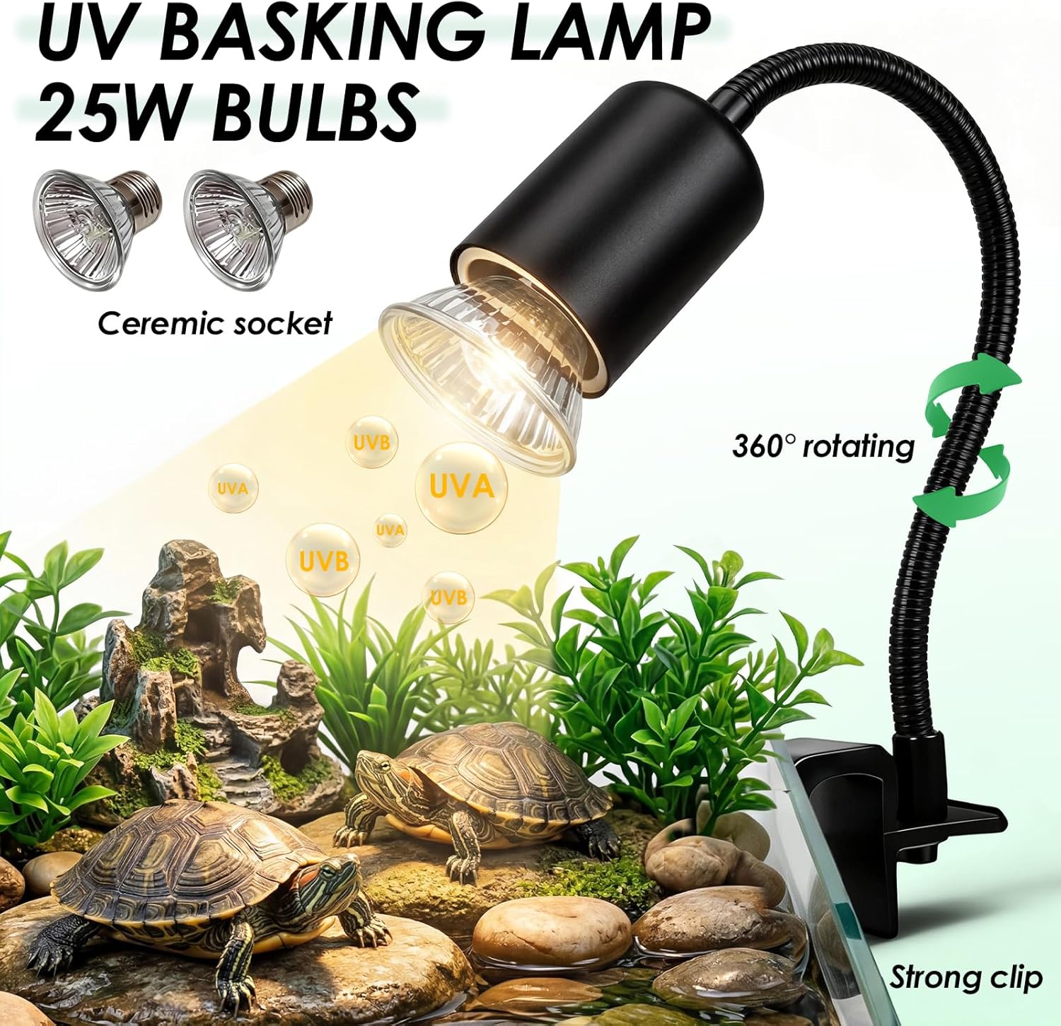 カメ飼育スターターキット、PCカメ水槽（日光浴台、UVBラン - Planted Aquarium Starter Kit のレビューと価格