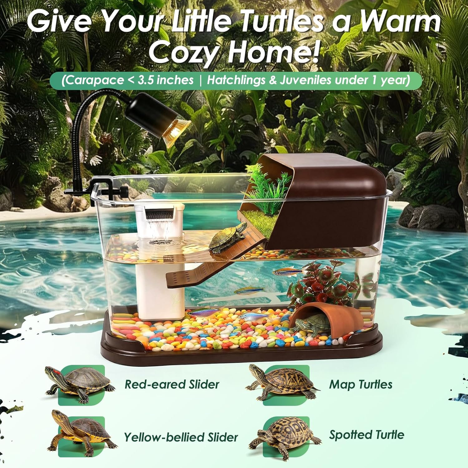 カメ飼育スターターキット、PCカメ水槽（日光浴台、UVBラン - Planted Aquarium Starter Kit のレビューと価格