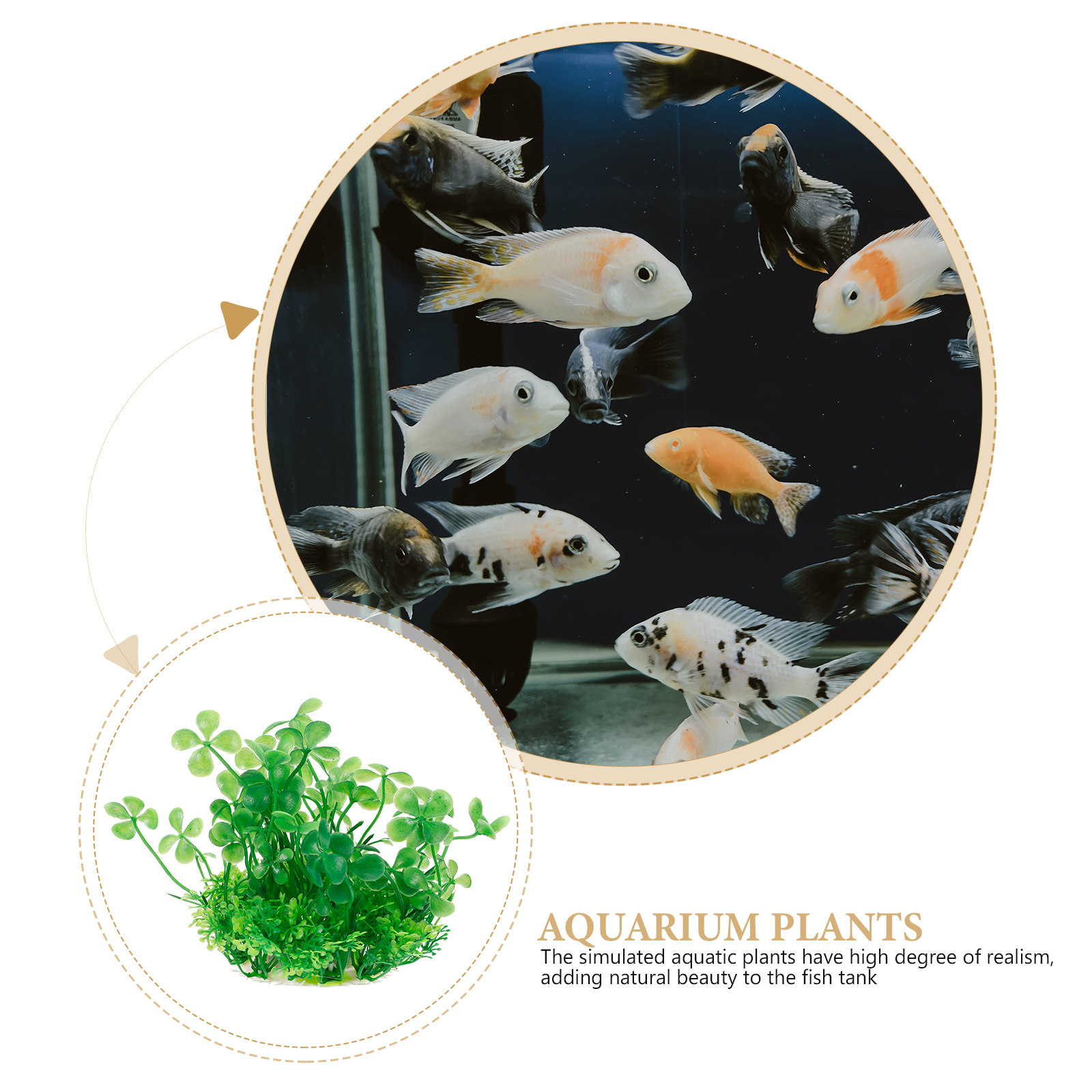 高級感のあるリアルな人工水槽用植物、プラスチック製の水槽装飾 - Aquarium Planted Tank Setup のレビューと価格
