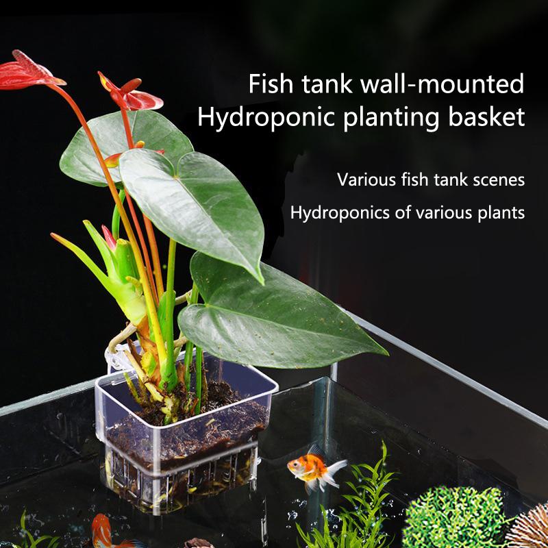 水槽水耕栽培カップ 2/5/10個入り 水生植物栽培用 耐久 - Aquarium Planted Tank Setup のレビューと価格