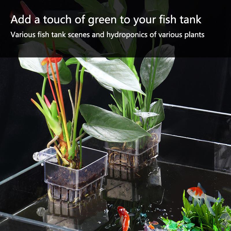 水槽水耕栽培カップ 2/5/10個入り 水生植物栽培用 耐久 - Aquarium Planted Tank Setup のレビューと価格