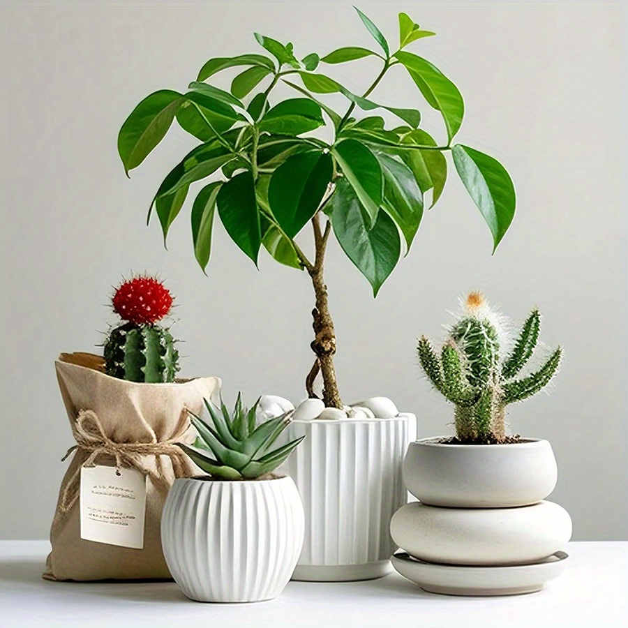 200/400g ホワイト高研磨天然玉石 2-3cm 中庭景 - Aquarium Planting のレビューと価格