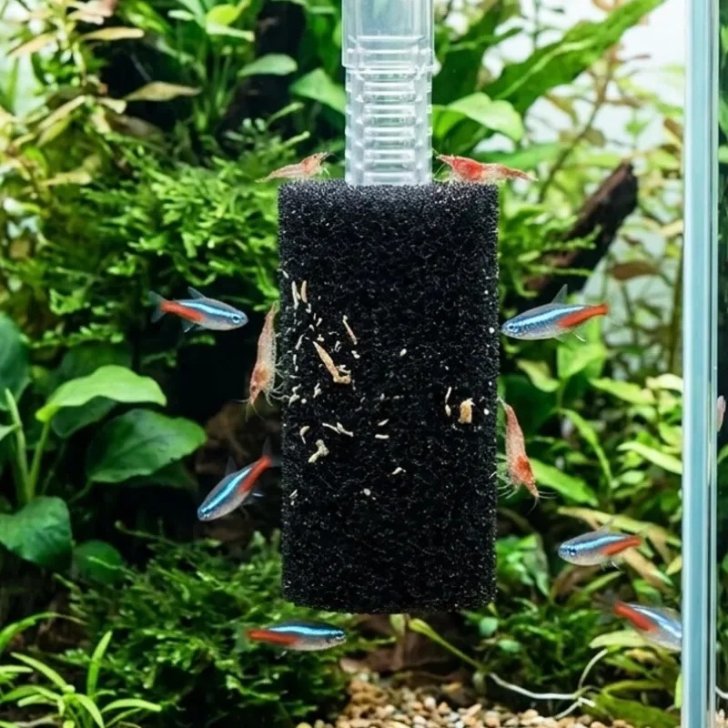 50/5xプレフィルタースポンジ水槽魚タンク吸水口フィルター - Aquarium Planted Filter のレビューと価格