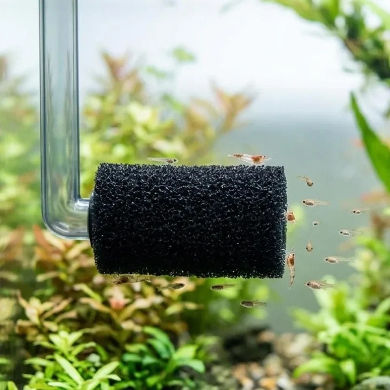 50/5xプレフィルタースポンジ水槽魚タンク吸水口フィルター - Aquarium Planted Filter のレビューと価格