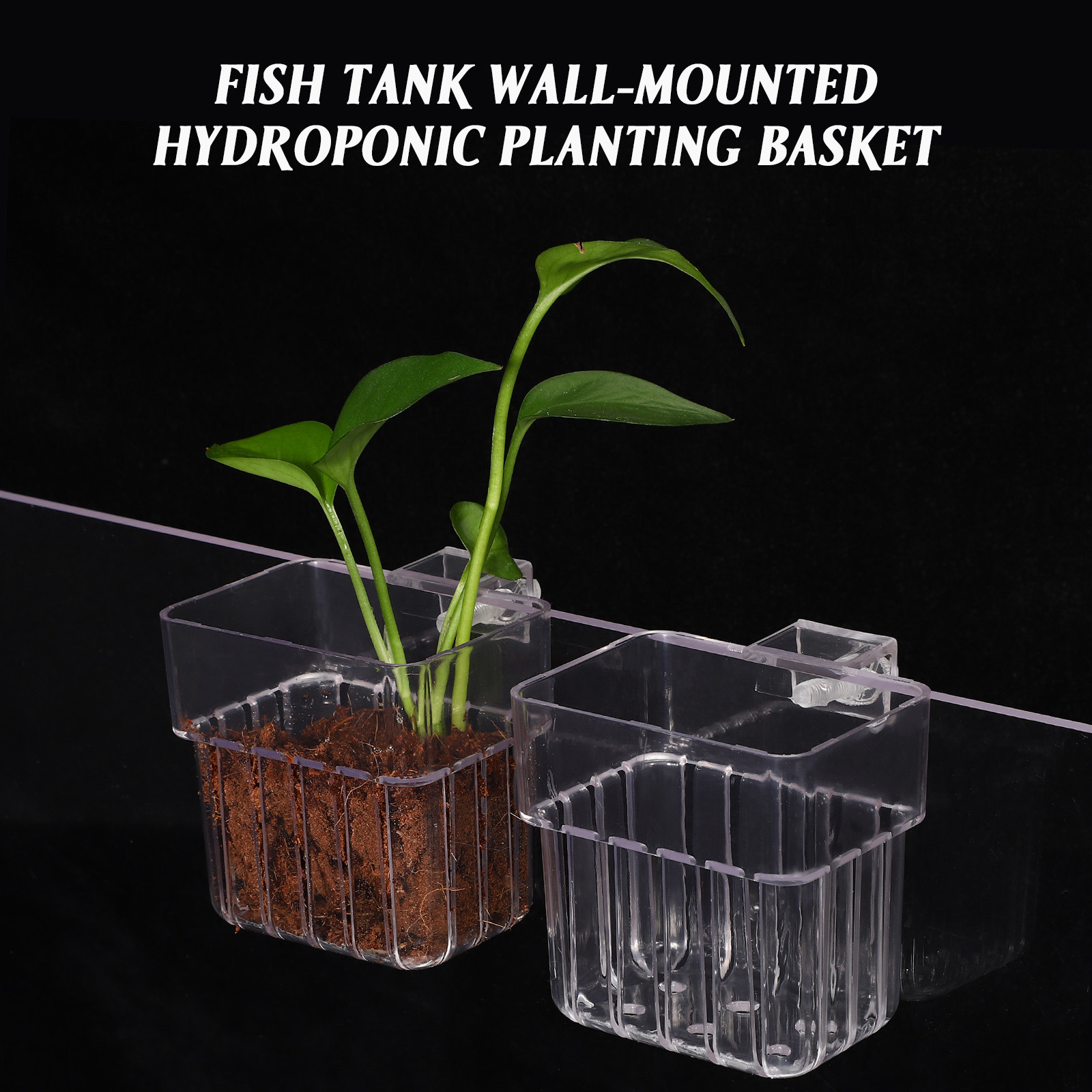 4個入り水槽用植物ホルダー 透明アクリル製 魚タンク用植物カ - Aquarium Planted Tank Setup のレビューと価格