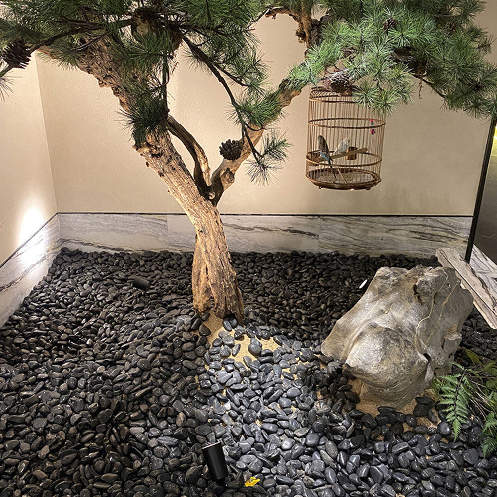 1セット 水槽用小石 天然造景石 黒色植木鉢装飾砂利 魚タン - Planted Aquarium With Fish のレビューと価格