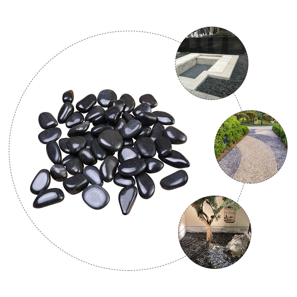 1セット 水槽用小石 天然造景石 黒色植木鉢装飾砂利 魚タン - Planted Aquarium With Fish のレビューと価格