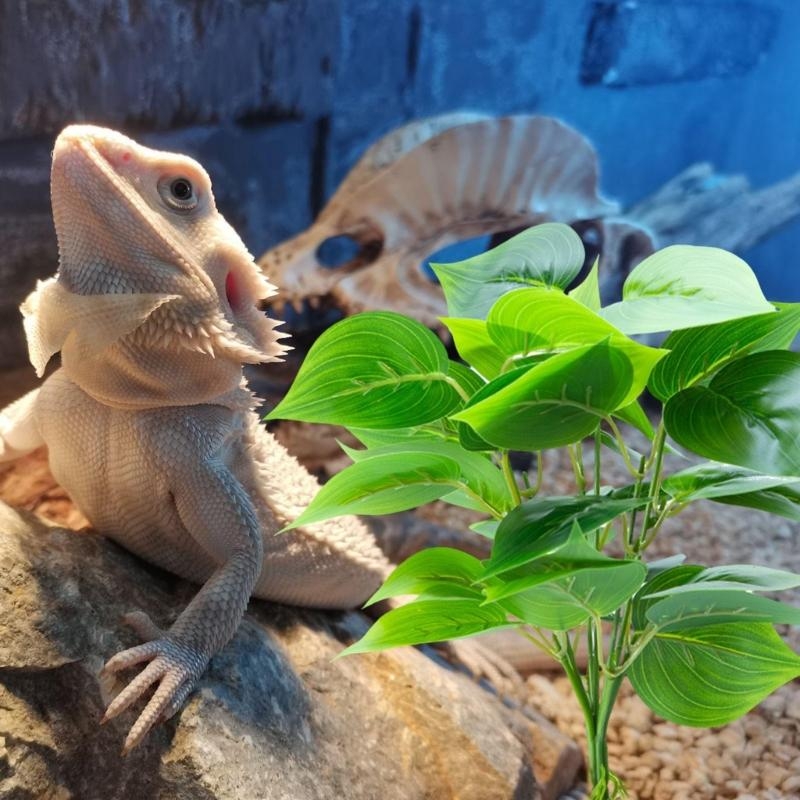 人工吊り植物魚水族館の装飾ペットの装飾の生息地 - Planted Aquarium With Fish のレビューと価格