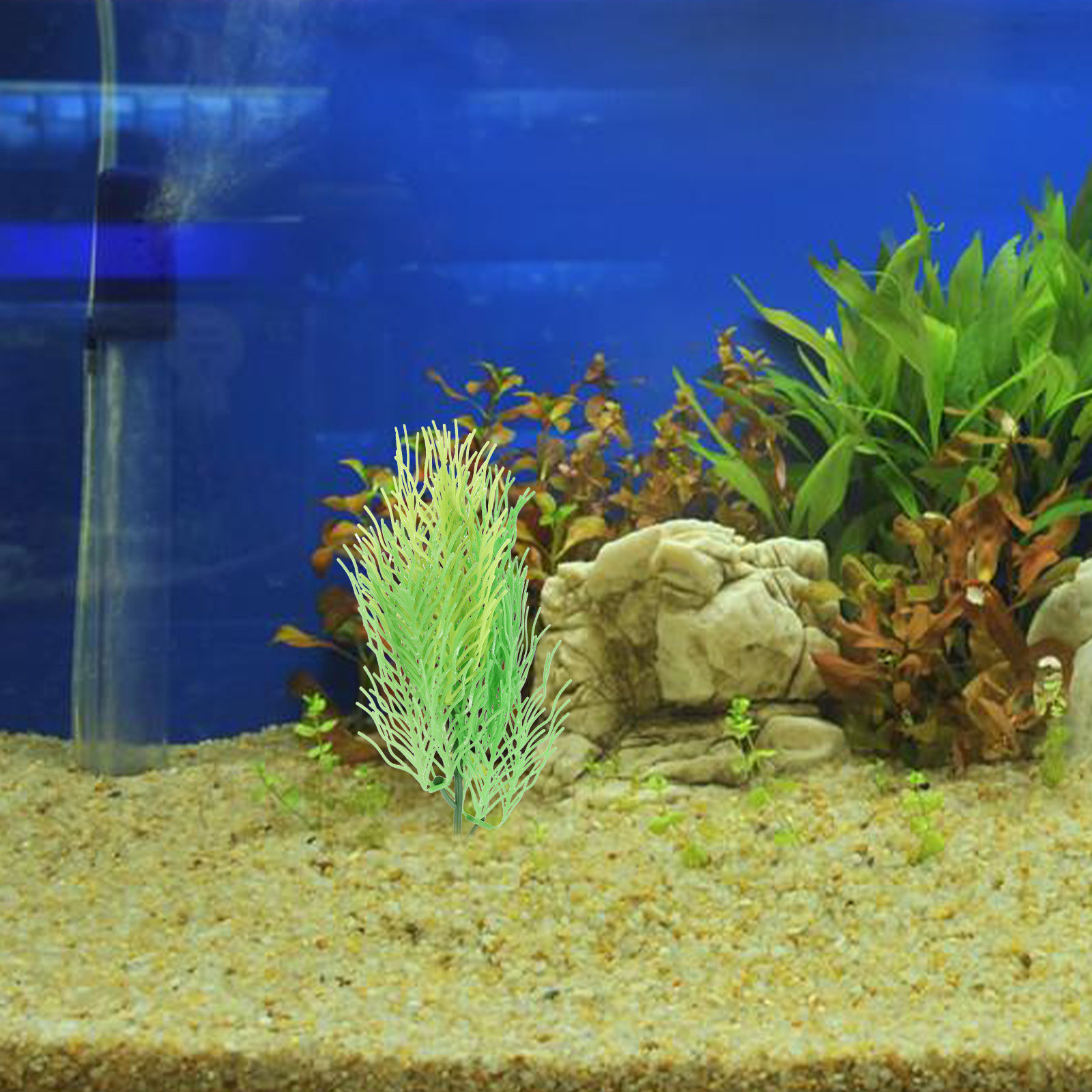 模擬ホーンワート水槽植物装飾品 軽量コンパクトな水槽飾り 自 - Aquarium Planted Tank Setup のレビューと価格