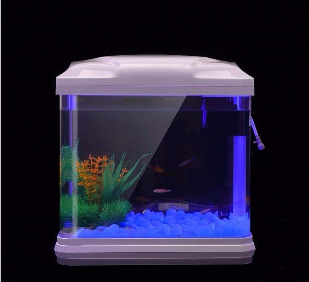 水槽岩グローブルー小石庭用水槽水族館植木鉢盆栽歩道私道 - Planted Aquarium With Fish のレビューと価格