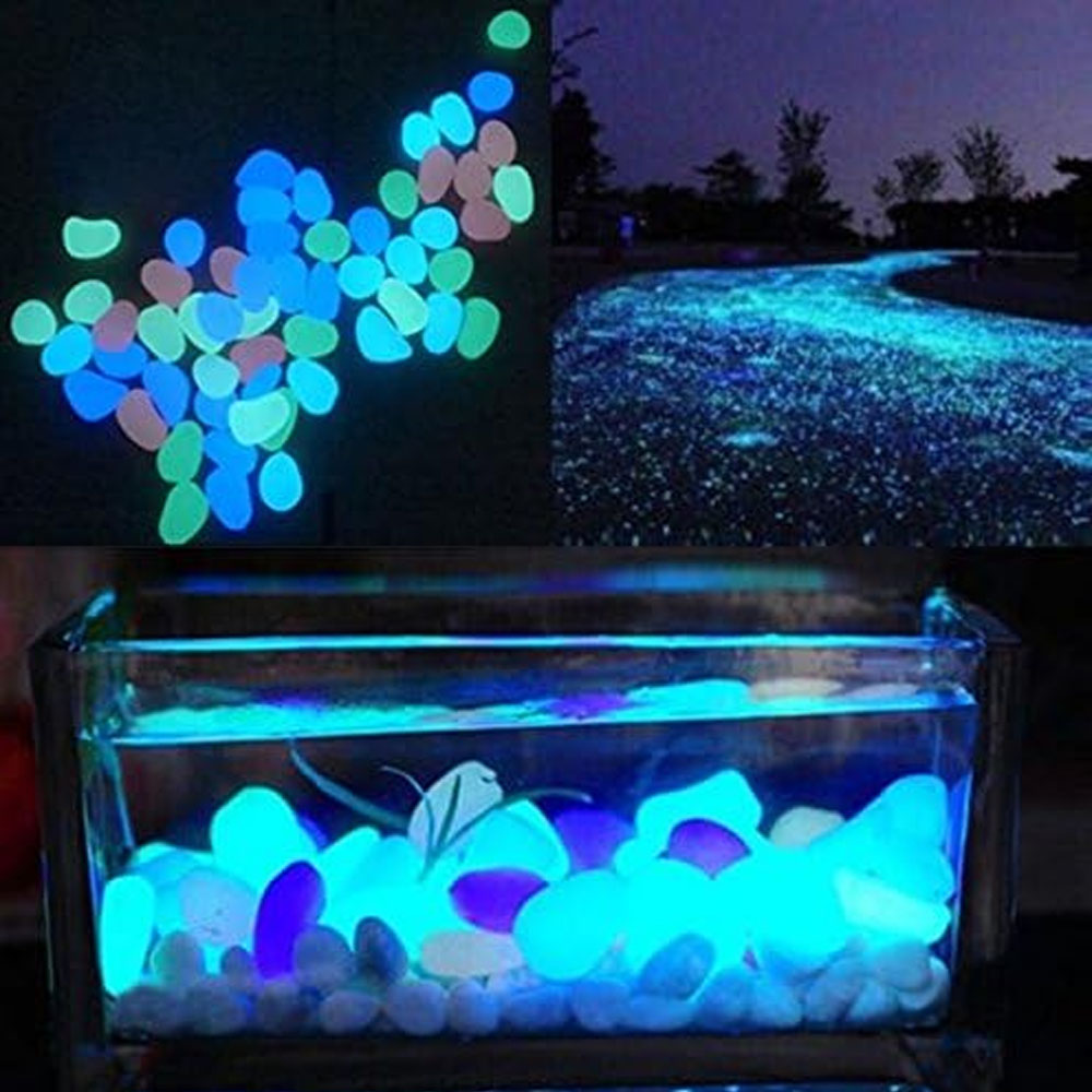 水槽岩グローブルー小石庭用水槽水族館植木鉢盆栽歩道私道 - Planted Aquarium With Fish のレビューと価格