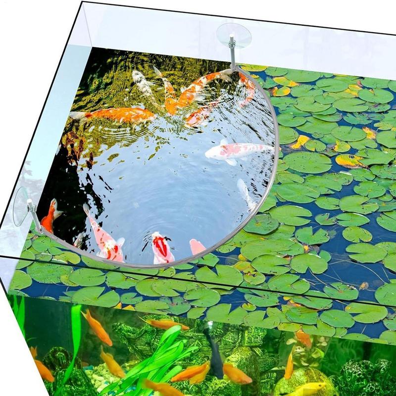 浮遊植物囲い魚の給餌リングは浮遊植物を分離して保護します給餌 - Aquarium Planted Filter のレビューと価格