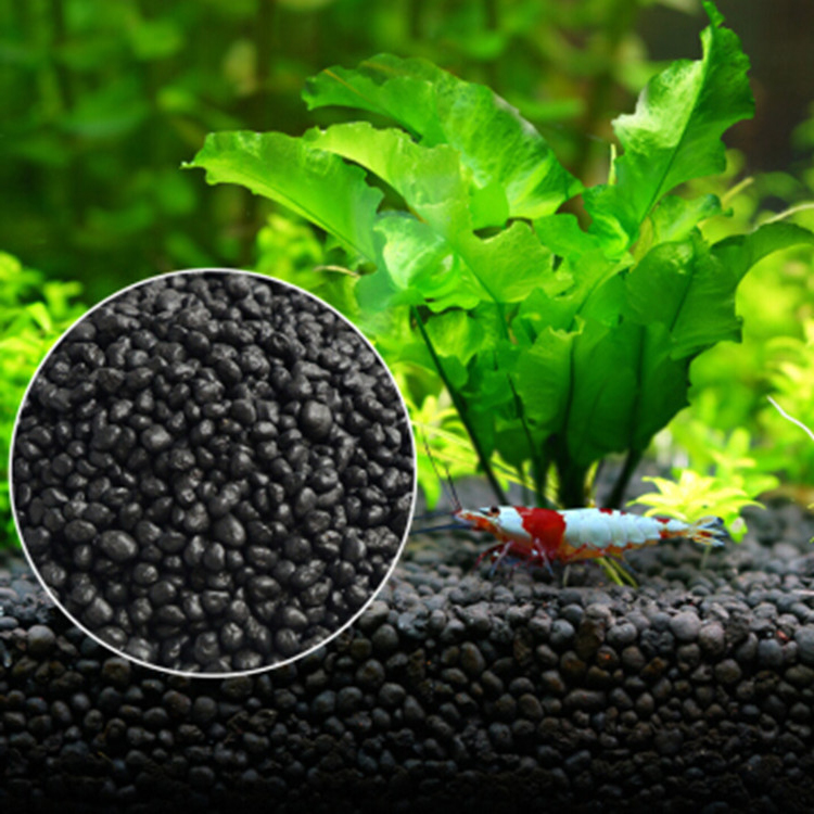 水族館植物の種子,水槽の素材,砂,土壌肥料,魚の手入れ,淡水 - Planted Aquarium With Fish のレビューと価格