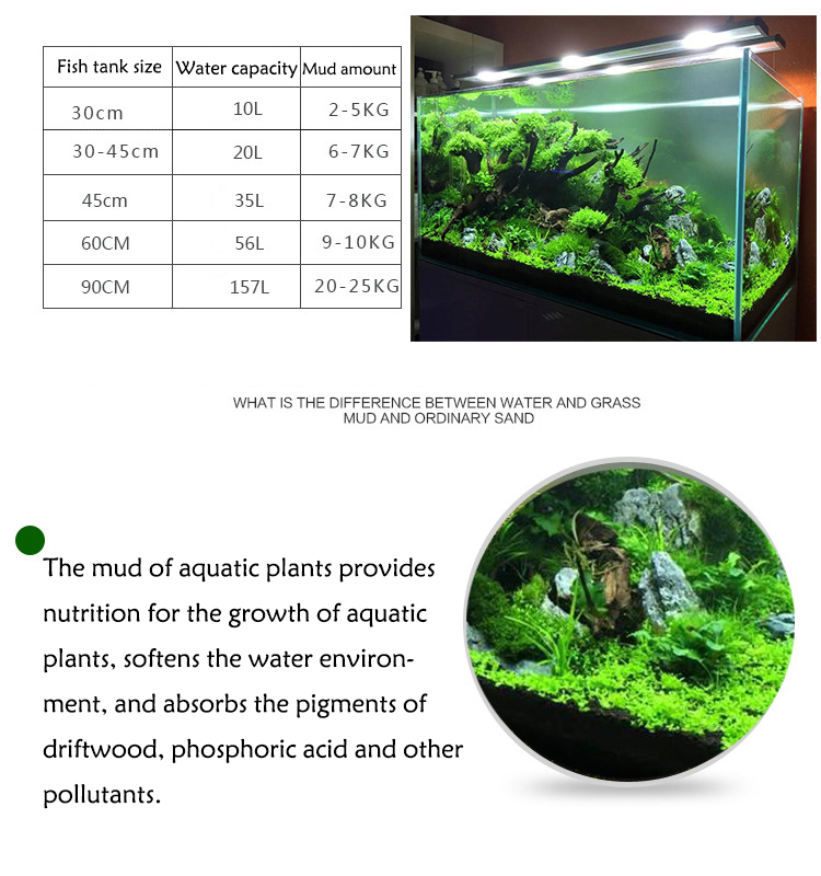 水族館植物の種子,水槽の素材,砂,土壌肥料,魚の手入れ,淡水 - Planted Aquarium With Fish のレビューと価格