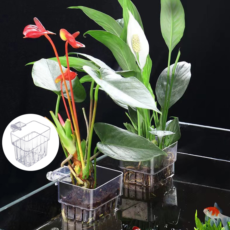 多機能フィッシュ水族館、水草植栽カップ、魚の分離ボックス、水 - Planted Aquarium With Fish のレビューと価格