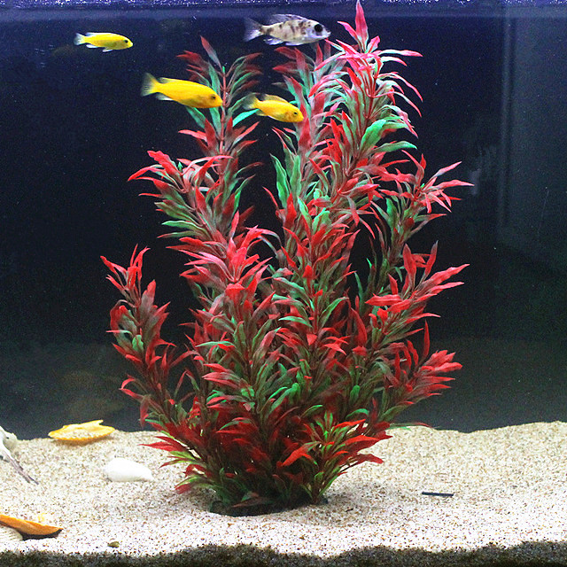 人工水槽50cm,珍しい植物,水族館,偽の竹の葉,水草,プラ - Planted Aquarium With Fish のレビューと価格