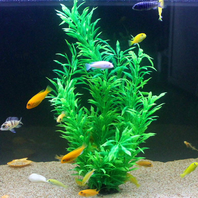 人工水槽50cm,珍しい植物,水族館,偽の竹の葉,水草,プラ - Planted Aquarium With Fish のレビューと価格