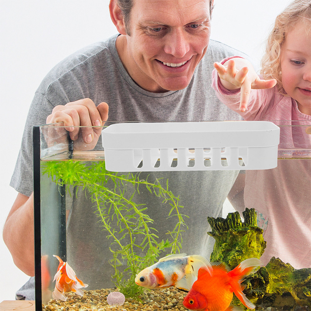 2個入り水槽用植物ホルダー、穴あき吊り下げ式プランターラック - Aquarium Planted Tank Setup のレビューと価格