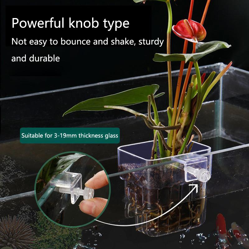 水槽水耕栽培カップ 2/5/10個入り 水生植物栽培用 耐久 - Aquarium Planted Tank Setup のレビューと価格
