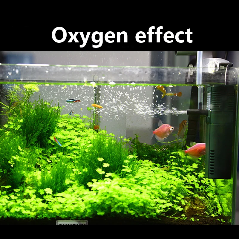 Sunsun-ミニナノ内部酸素ポンプ,111b,311b,6 - Aquarium Planted Filter のレビューと価格